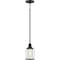 Quoizel Ludlow Mini Pendant LUD1505EK - alternate 3